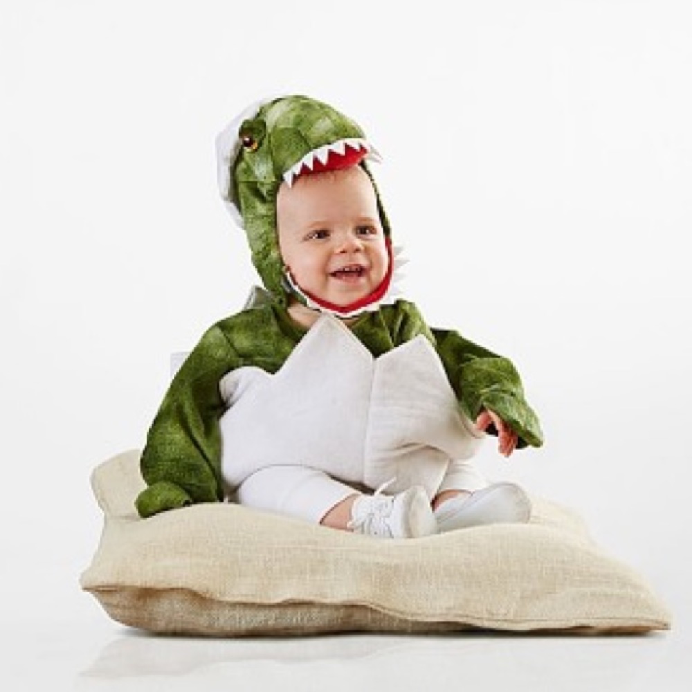 Pottery Barn Kids Baby Dinosaur Costume